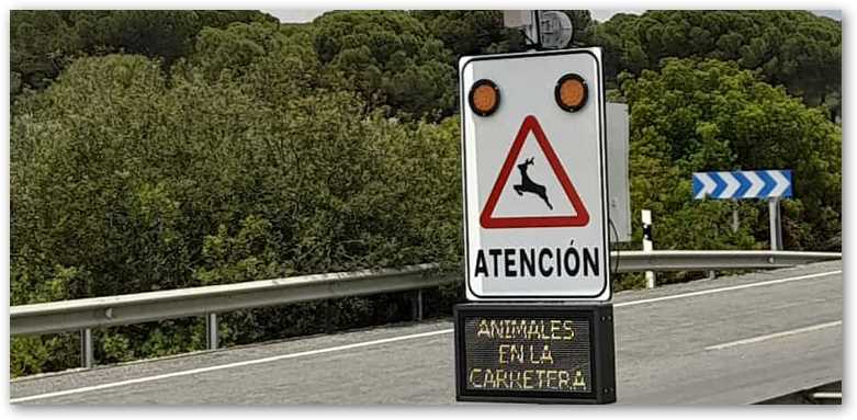 Diario de Belmez prensa digital del Alto Guadiato los pedroches Córdoba, las noticias de tu provincia y toda la información de tu ciudad y pueblo. 