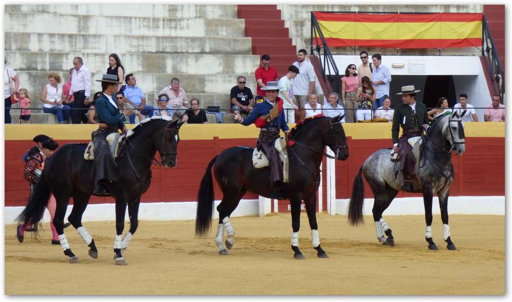 Diario de Belmez prensa digital del Alto Guadiato los pedroches Córdoba, las noticias de tu provincia y toda la información de tu ciudad y pueblo.